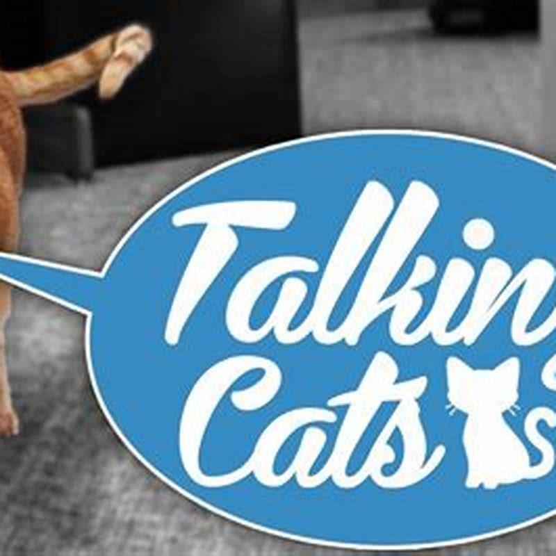 Do cats try to talk?