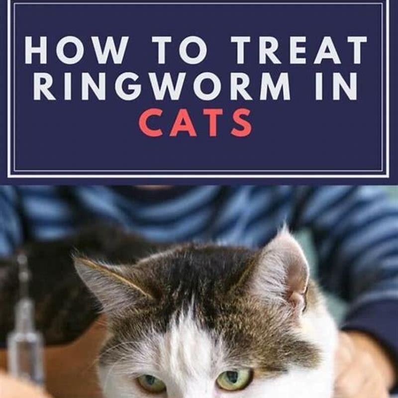 how-do-i-know-if-my-cats-ringworm-is-gone-diy-seattle