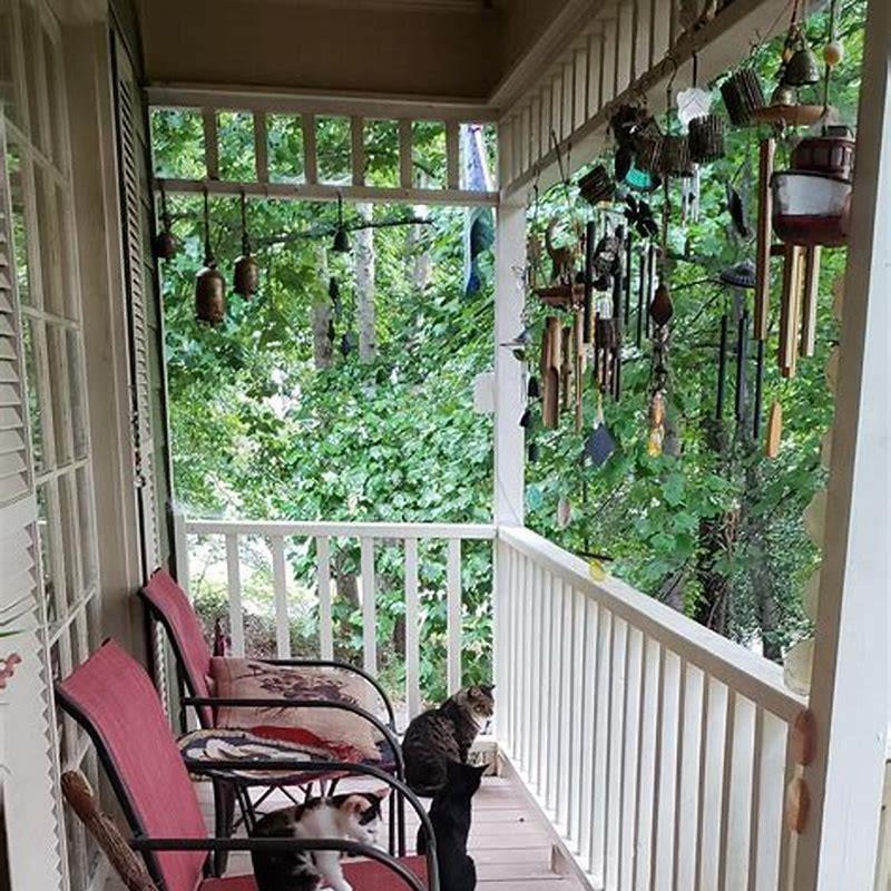 How far can house cats run?