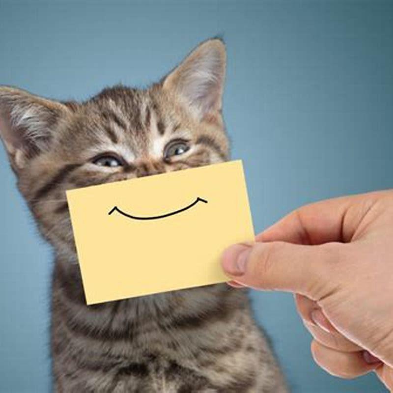 What kind of worms do indoor cats get?