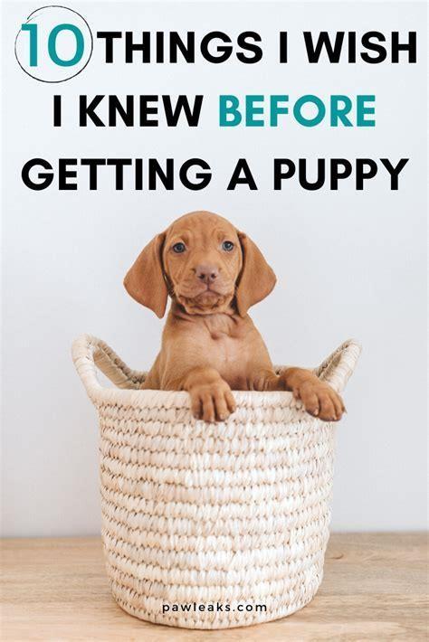 How do I induce vomiting in my puppy?