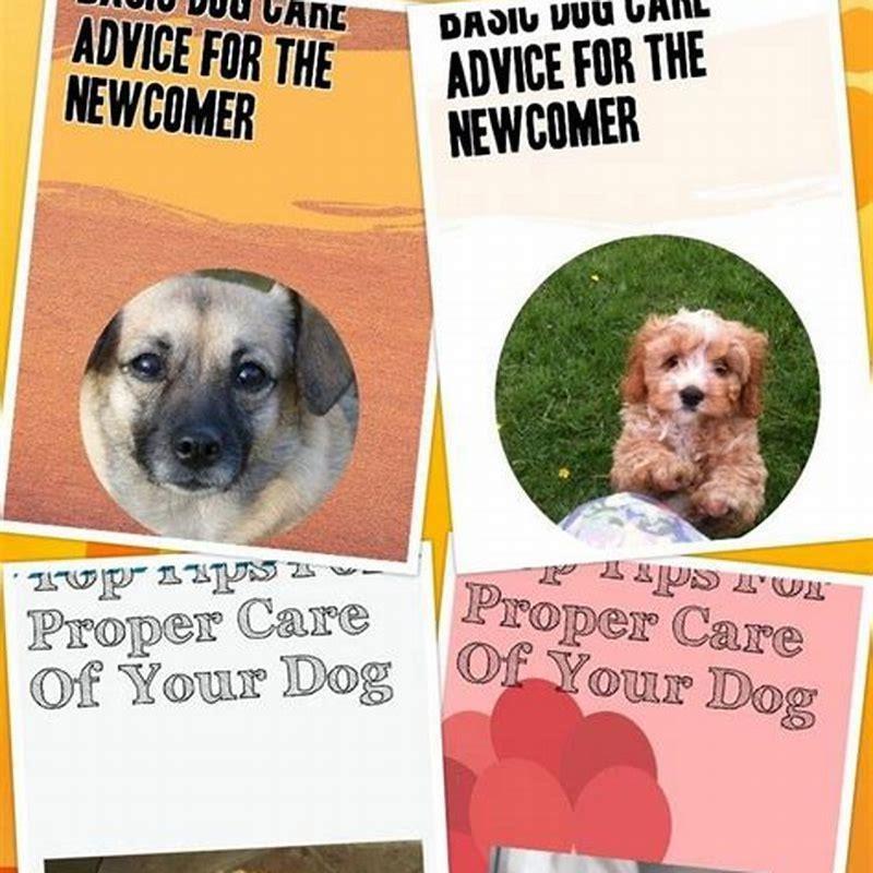 How do you find someone to dog sit?