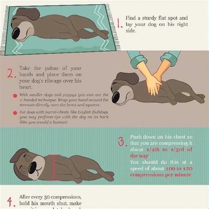 How do you perform CPR on dogs?