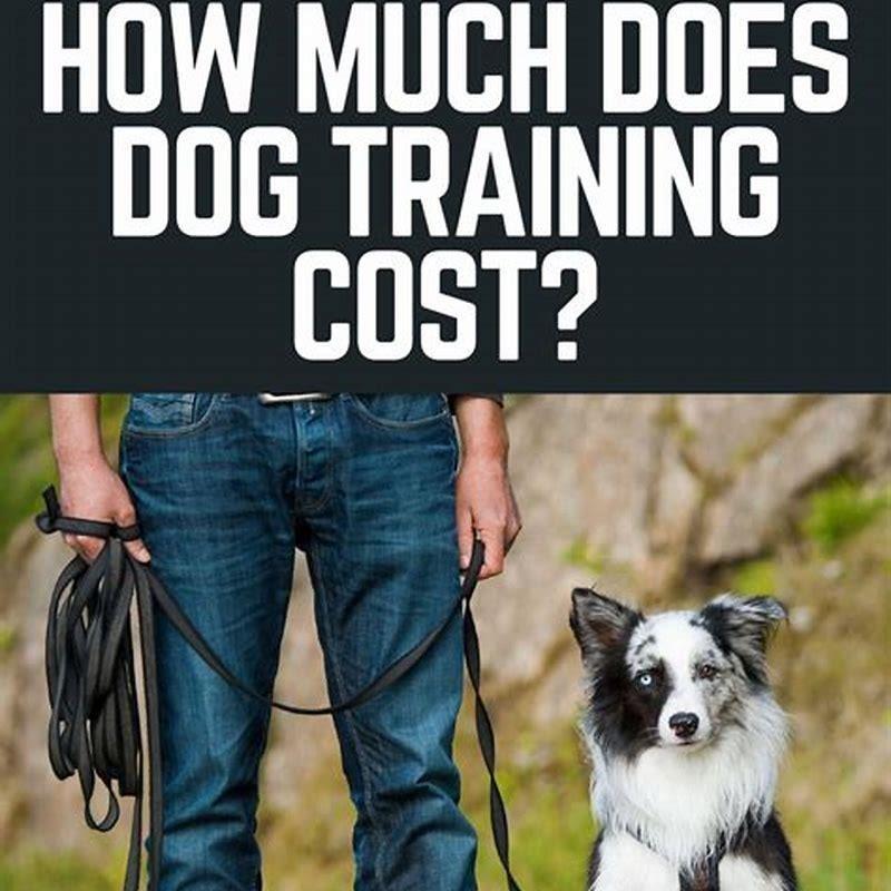 how-much-does-dog-training-cost-per-day-diy-seattle