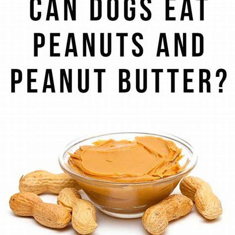 how-much-peanuts-can-dogs-eat-diy-seattle