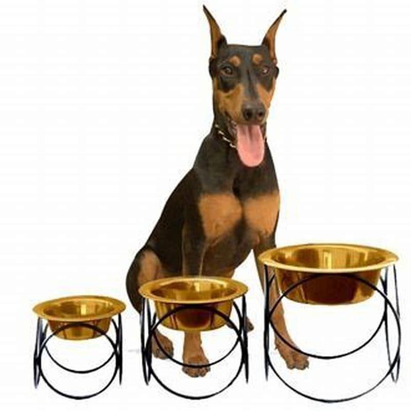 Is iron powder toxic to dogs?