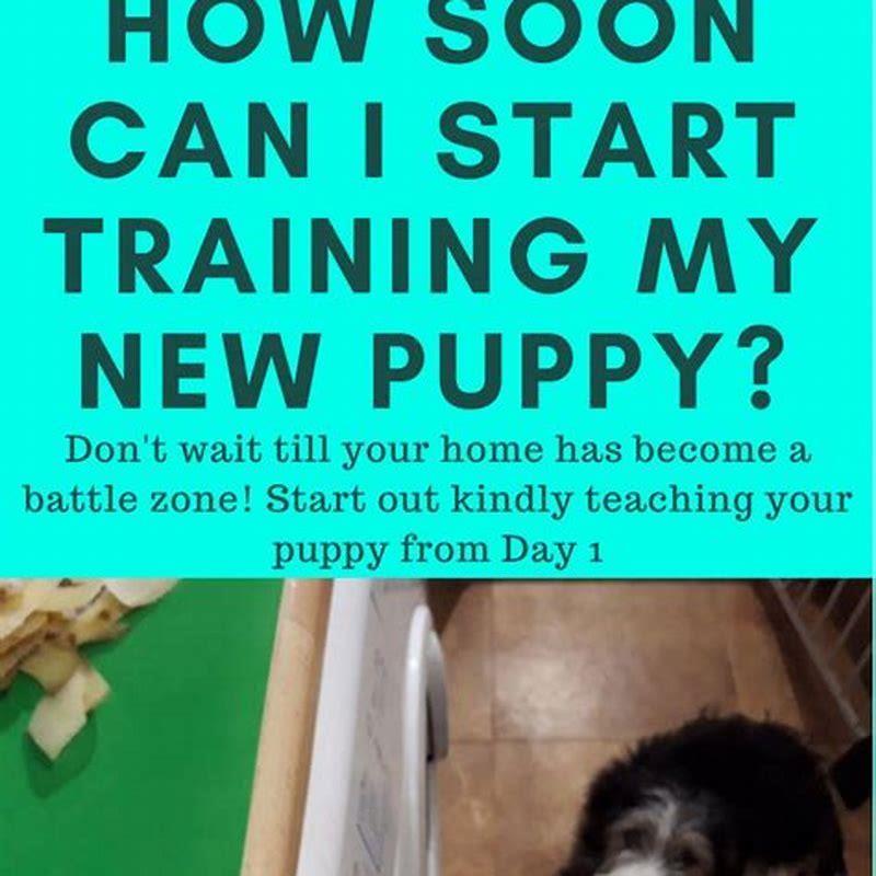 What age should you start puppy training classes?