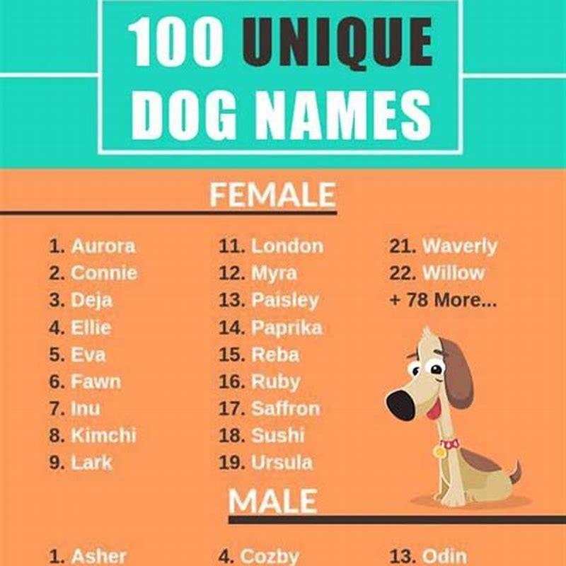 Sweet Treat Names For Pets