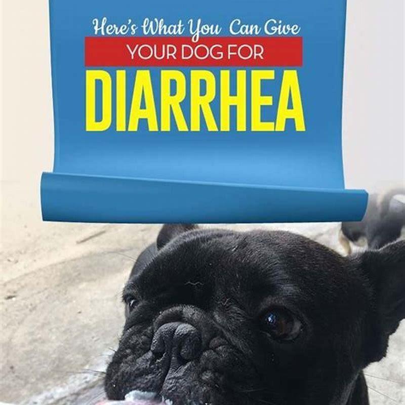 What To Give Puppy With Diarrhea