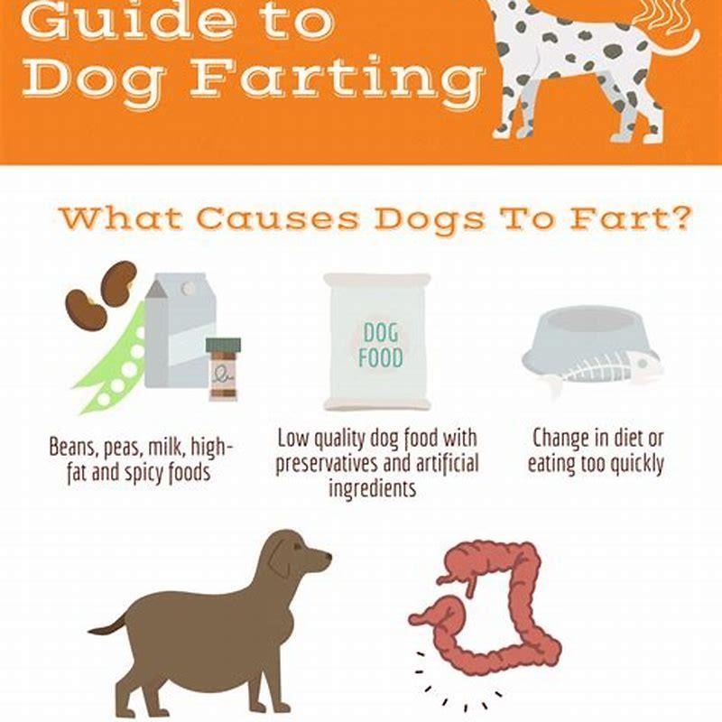 What treats can you give a dog with IBD?