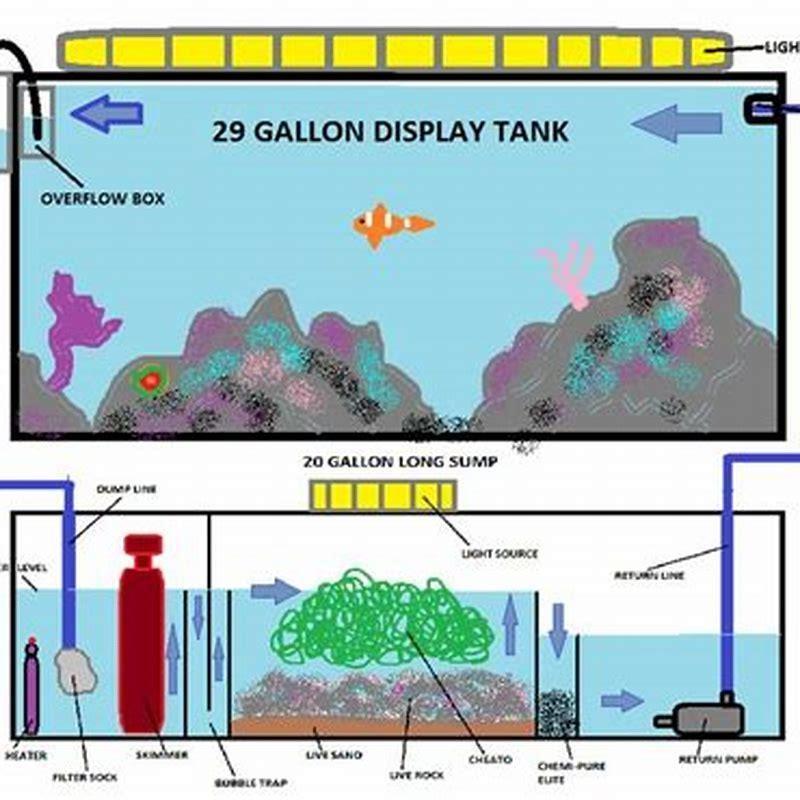 Do I need a filter if I have a sump?