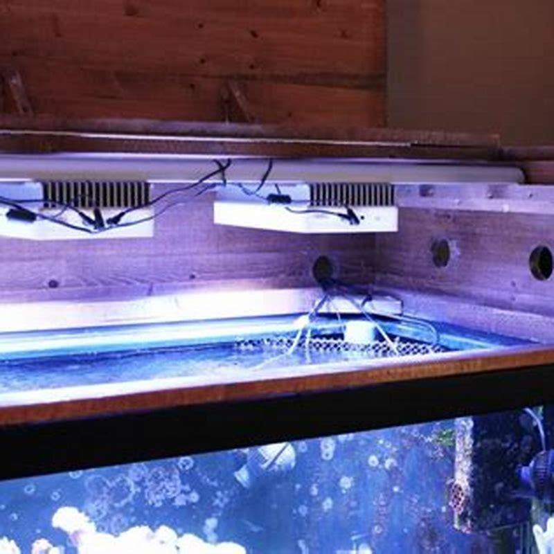 Does A Fish Tank Lid Need Holes DIY Seattle