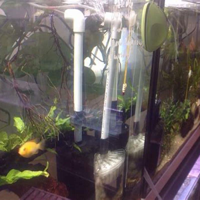 How do I aerate my saltwater tank? - DIY Seattle