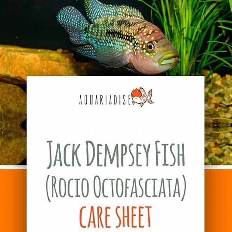 Are Jack Dempsey easy to keep?