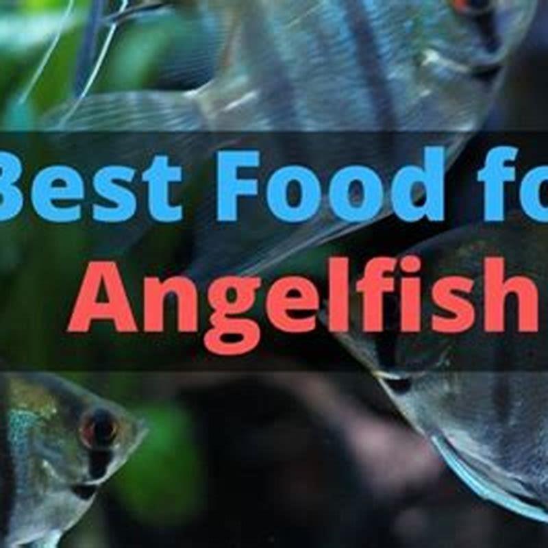 Do angelfish eat vegetables? - DIY Seattle