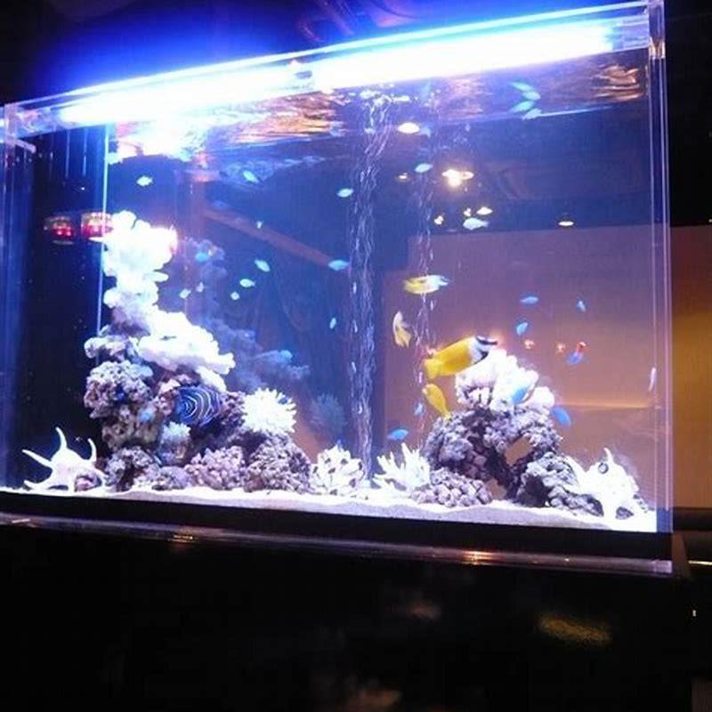 How are aquarium fish produced?