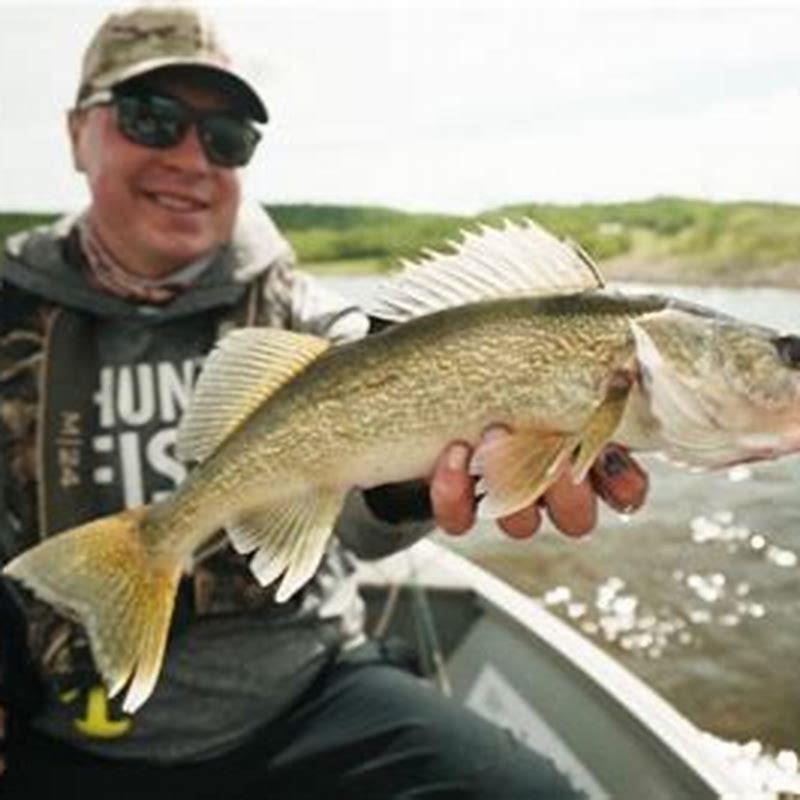 How do you cook a minnow?