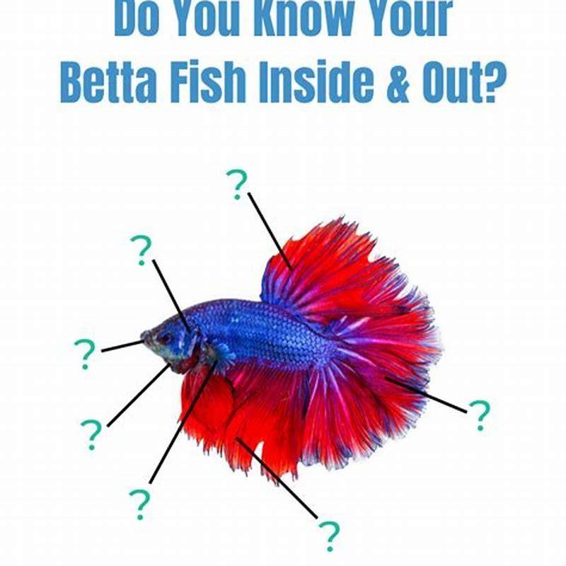 How do you stop fin-nipping?