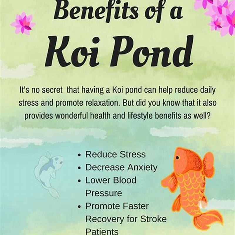 How do you tame an aggressive fish?