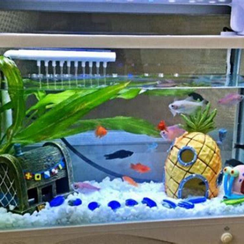 How much does it cost to ship a fish?