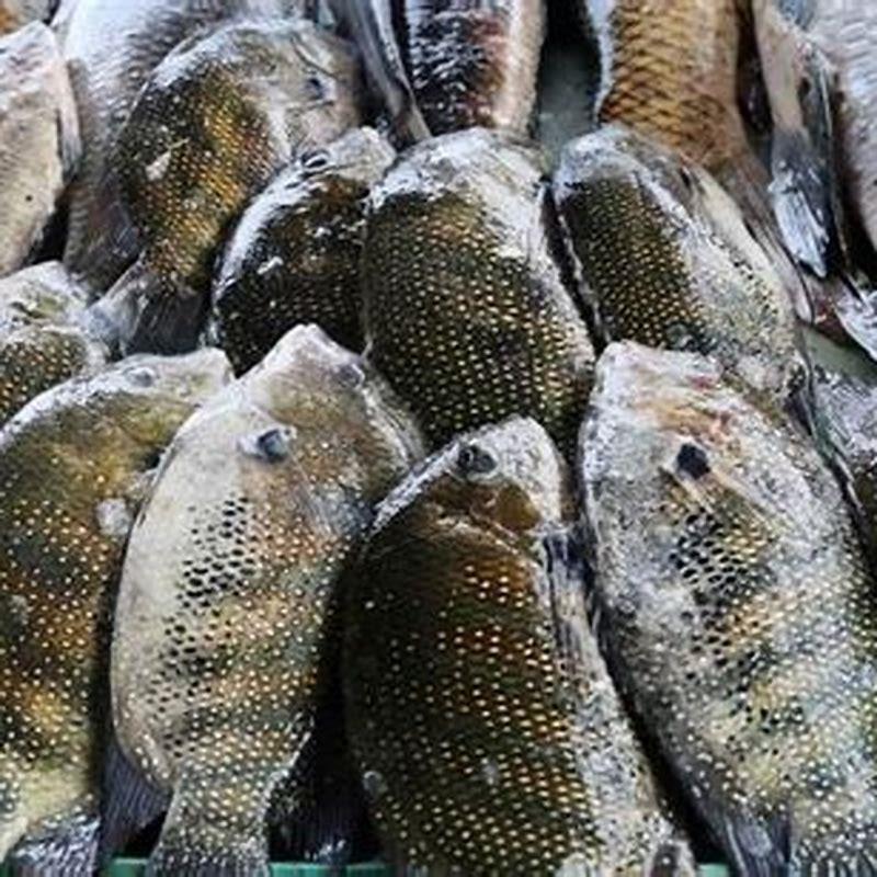 Is karimeen good for health?