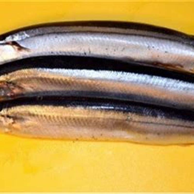 Is knife fish can be eaten?