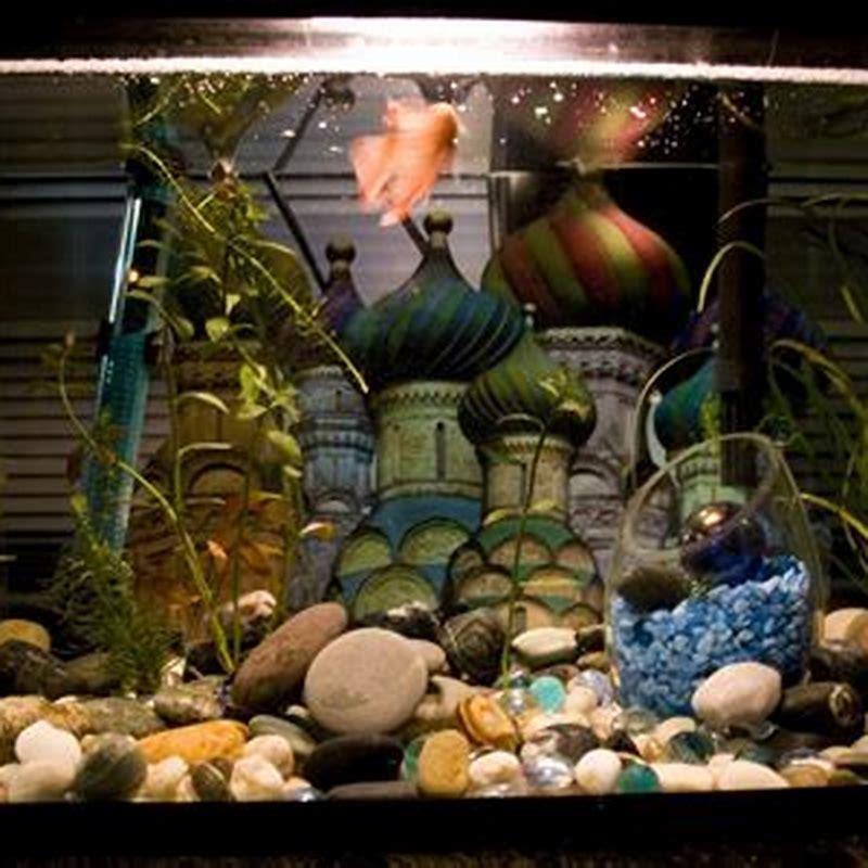 is-too-much-aquarium-salt-bad-for-fish-diy-seattle