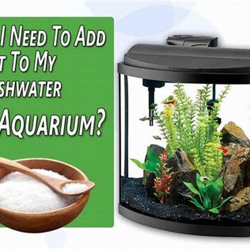 should-i-add-salt-to-my-freshwater-aquarium-diy-seattle