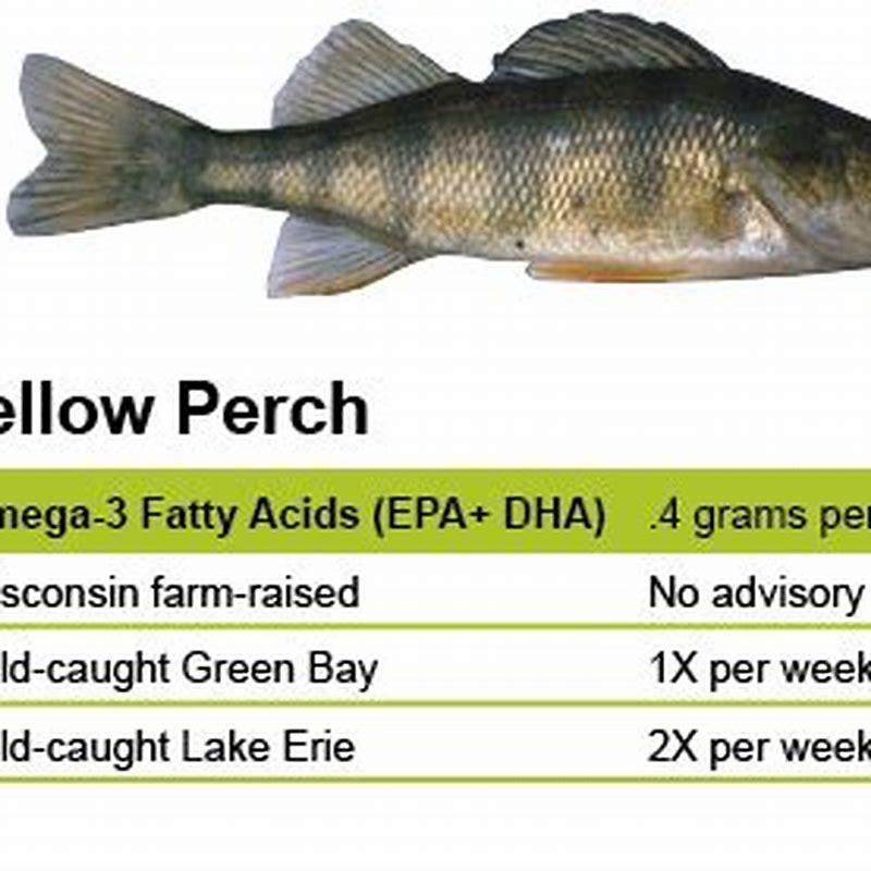 What does a perch fish taste like? DIY Seattle