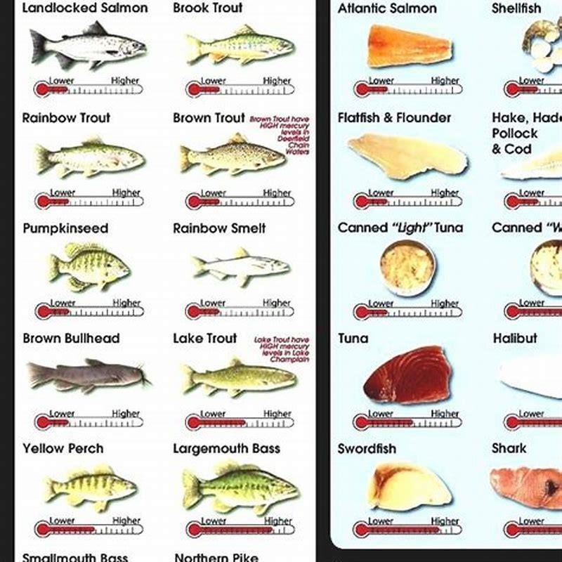 What fish is lowest in mercury? - DIY Seattle