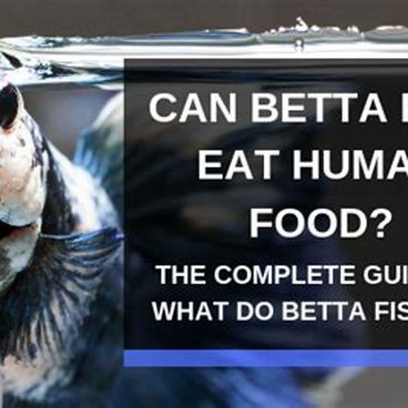 what-human-food-can-baby-fish-eat-diy-seattle