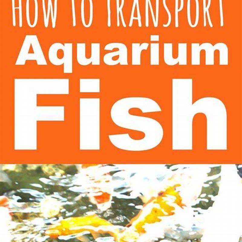 what-is-the-safest-way-to-transport-a-fish-diy-seattle