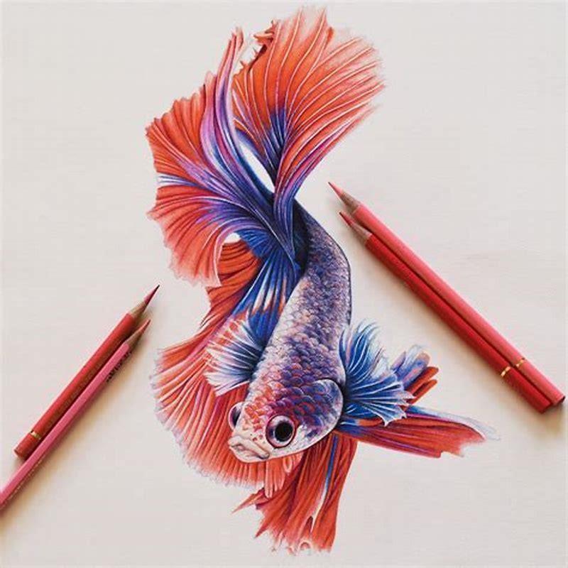 Where do pencil fish come from? - DIY Seattle