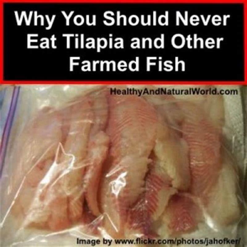 why-should-you-never-eat-tilapia-diy-seattle