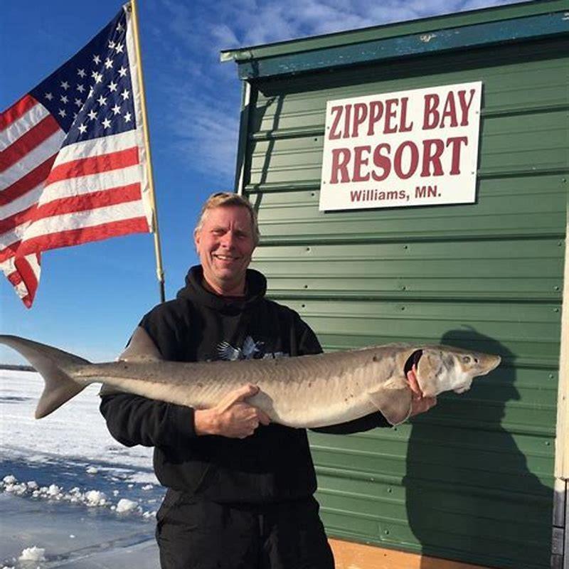 Can sturgeons live with other fish?