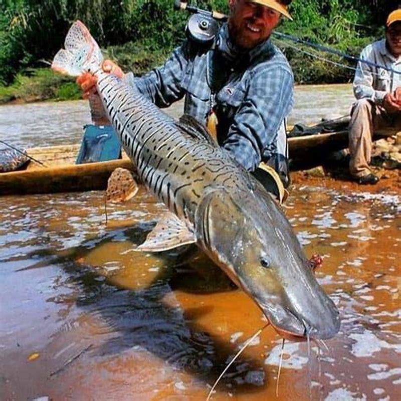 Can you eat shovelnose catfish?