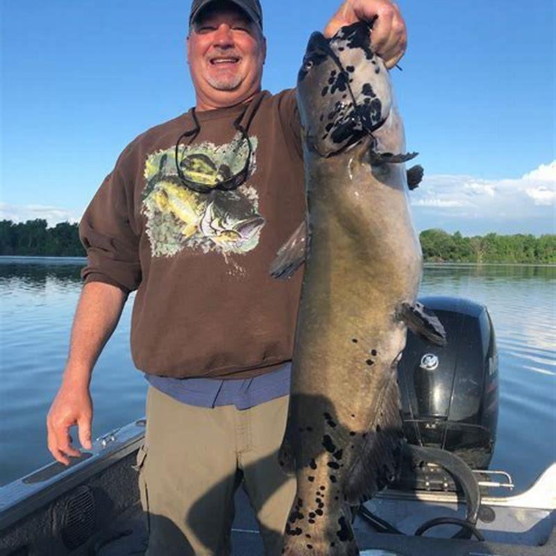 Do catfish need to be in pairs?