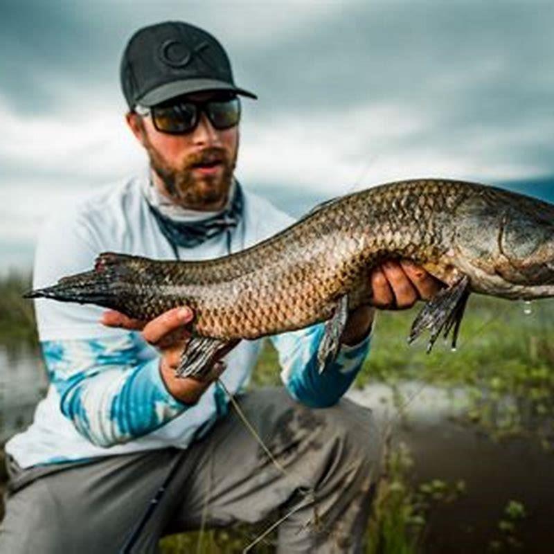 How big does a wolf fish get? - DIY Seattle