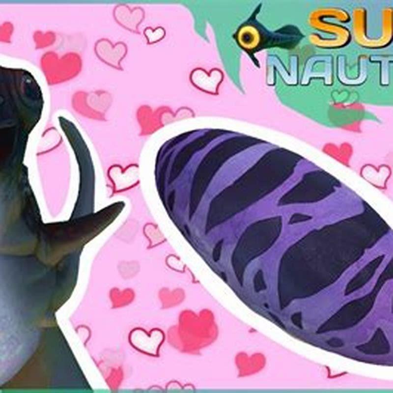 How do you put fish in the aquarium in below zero Subnautica?
