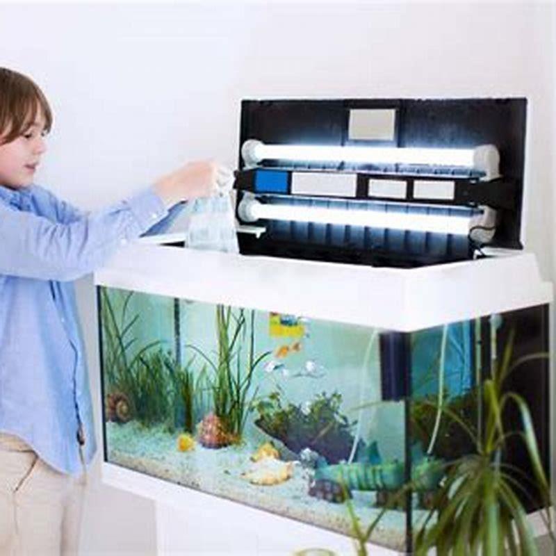 How do you transport fish without a bag?