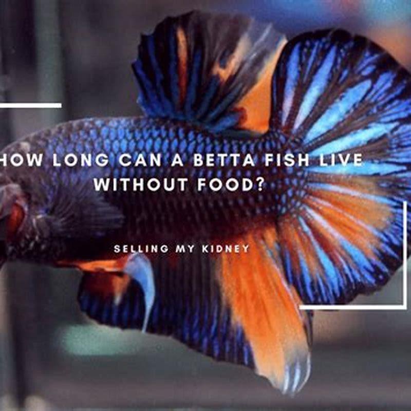 How long can cichlids go without food?