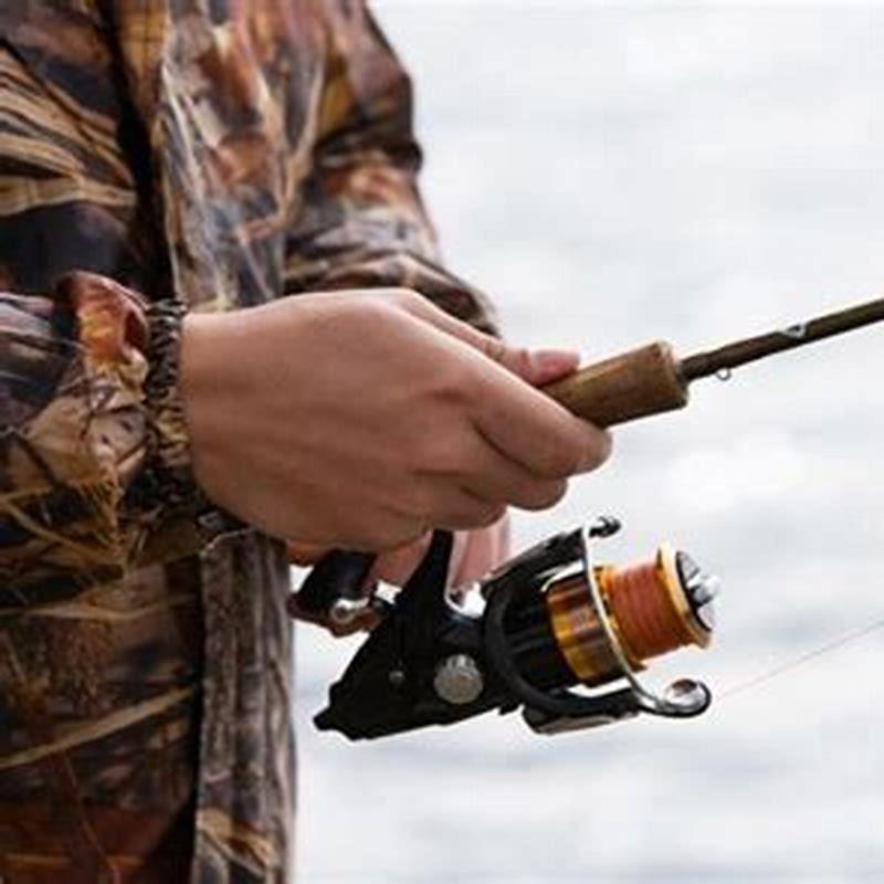 How long will minnows stay alive?