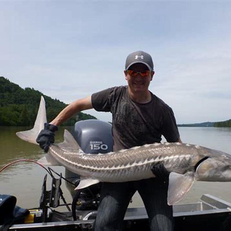 Is sturgeon a good eating fish?