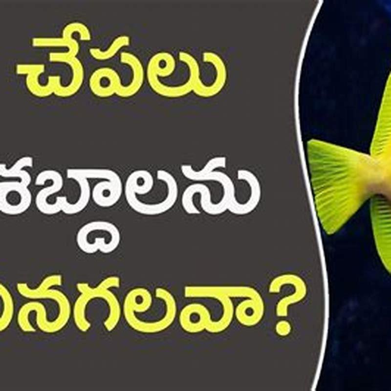 Do OTOS need to be in groups?