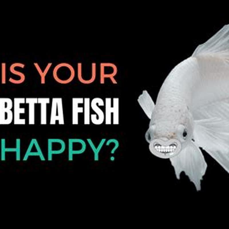 How can you tell if fish are happy?