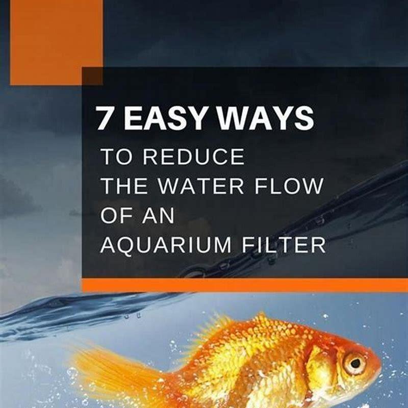 How do you catch fish in Aquascape?