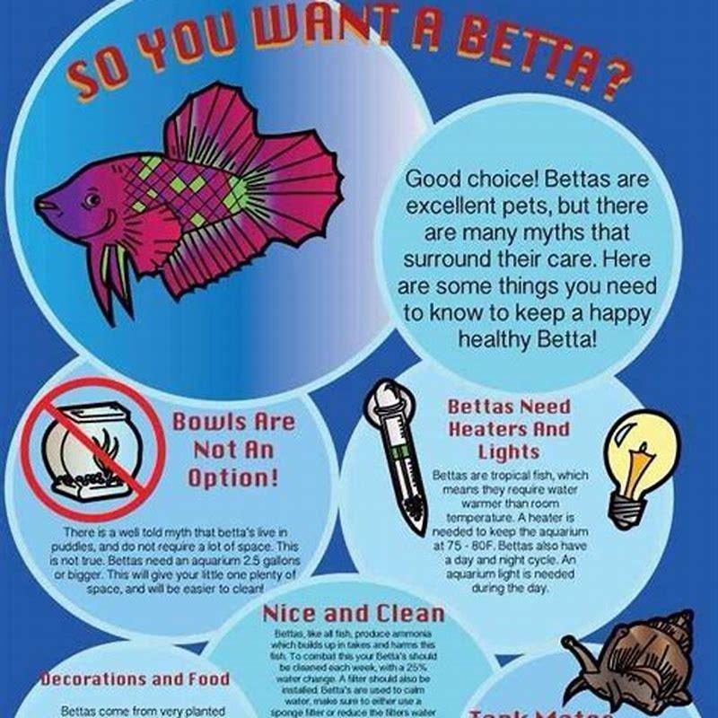 How do you take care of a leaf fish?