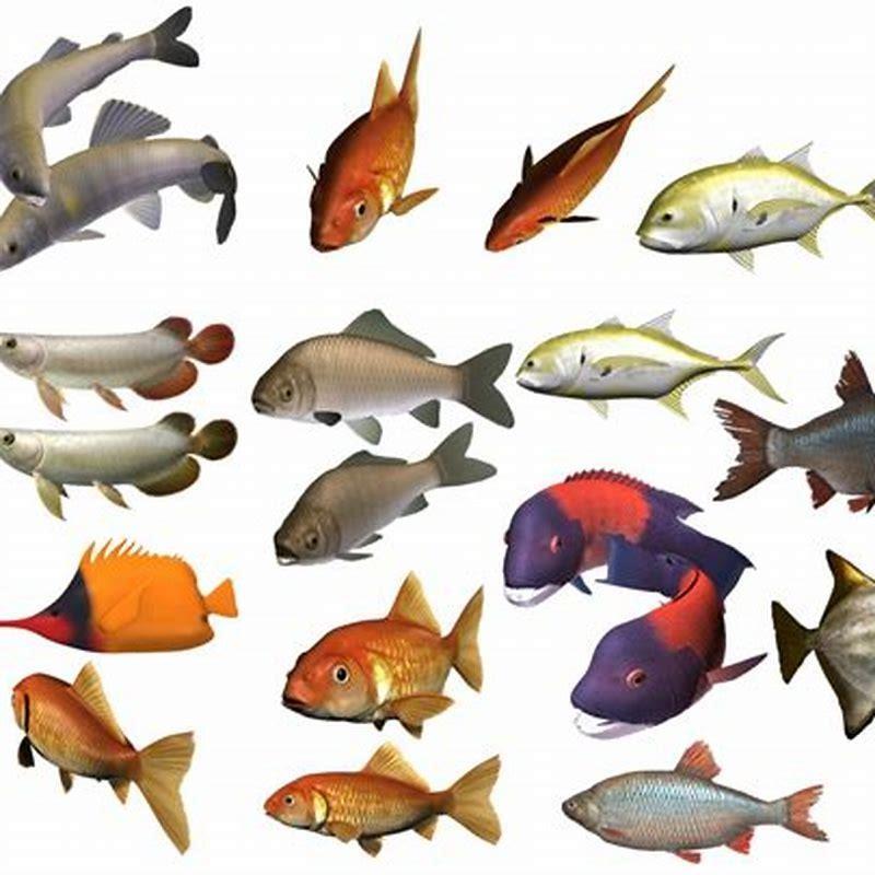 How many fish are in a school?