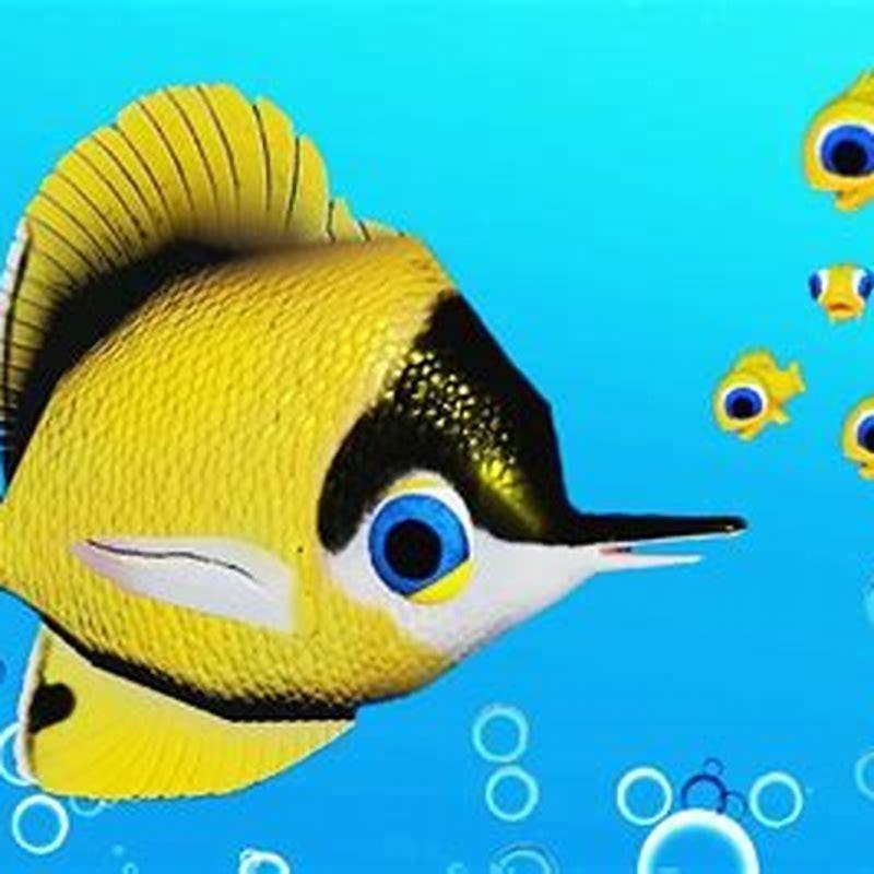 How often do you feed a butterfly fish?