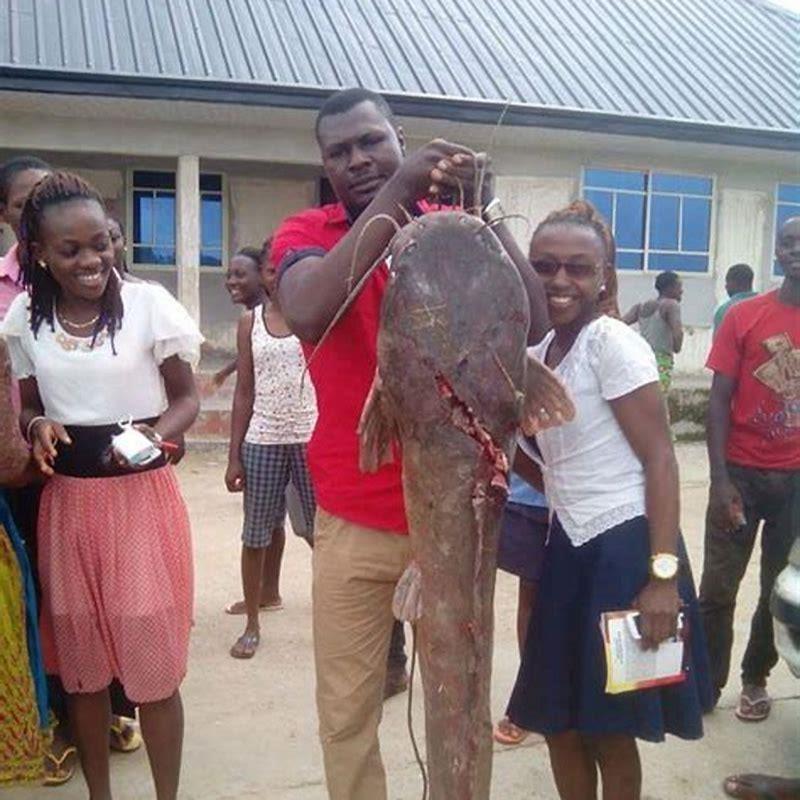 What do Niger catfish eat?